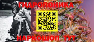 СК Гусев