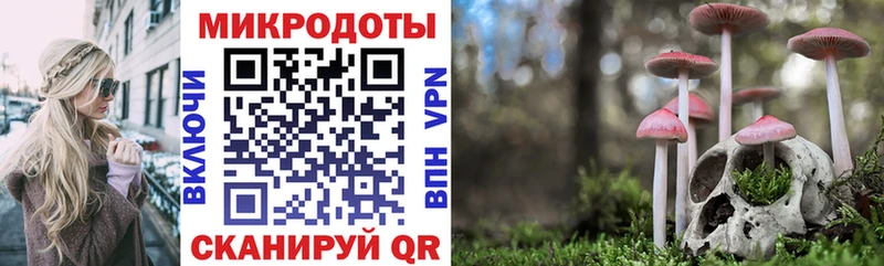 как найти   Ртищево  Галлюциногенные грибы мицелий 