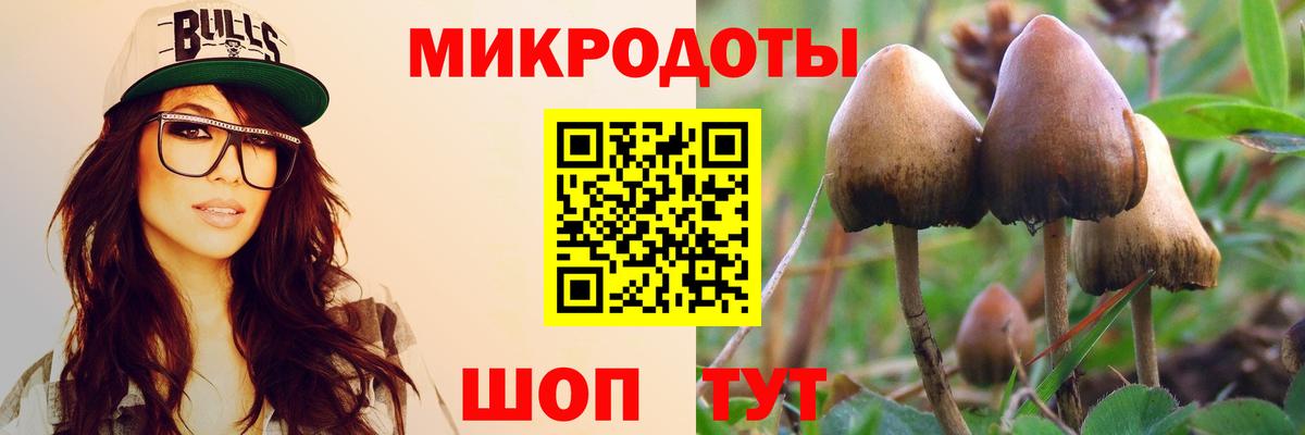 даркнет сайт  Псилоцибиновые грибы ЛСД  Псилоцибиновые грибы Cubensis  Вход с VPN  Ртищево 